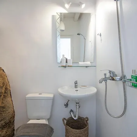 公寓 Pietra Bianca 1891 Mykonos Town